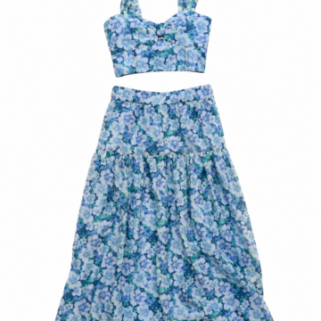 Blue and Green Floral Crop Top and Tiered Maxi Skirt Two-Piece Set